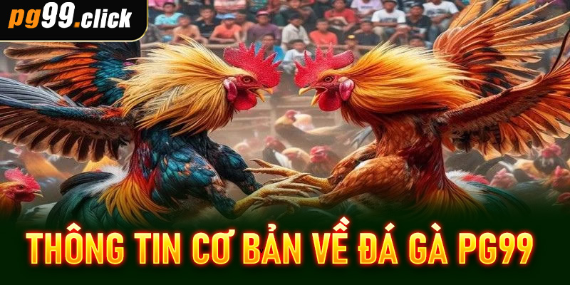 Thông tin cơ bản về đá gà PG99